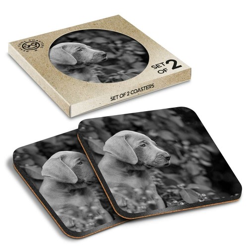 Boxed square coasters bw - coasters,