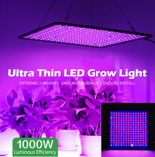 1000w led grow - 1000w, for