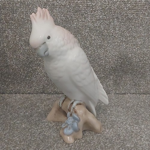 Royal dux porcelain cockatoo - royal,