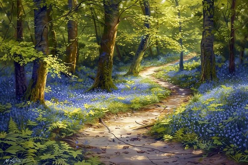 Bluebell woodland forest - bluebell,