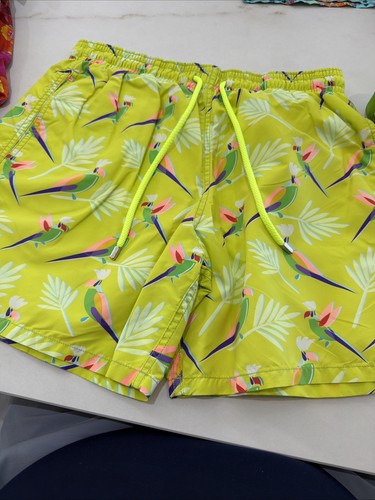Vilebrequin men swim - men's,