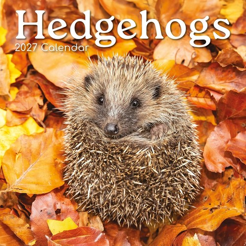 New calendar 2027 hedgehogs - calendar,