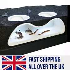 Multifunctional Aquarium