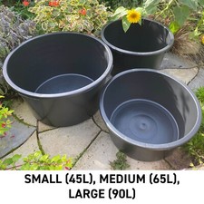 Outdoor garden wildlife - outdoor,