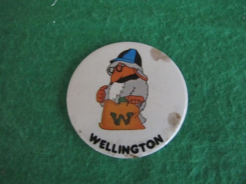 Vintage the wombles pin badge - vintage,