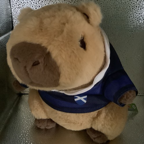Capybara plush - (beaver)plush, 11”