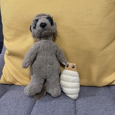 Meerkat Meerovo and Baby
