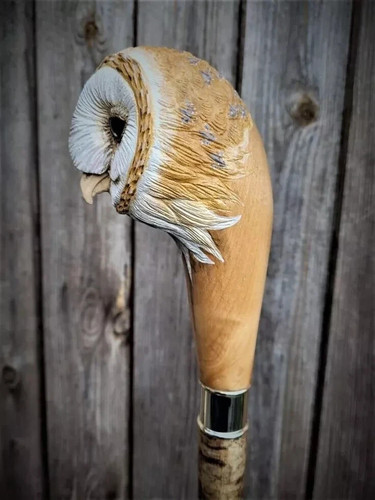 Beautiful wooden walking - a,