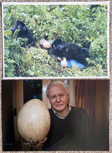 David attenborough 2 - david,