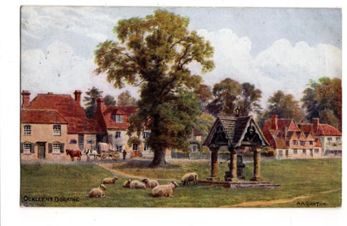 Quinton ockley near dorking - quinton,