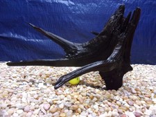 Large driftwood x20 - large,