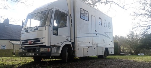 Tonne horse lorry iveco - tonne,
