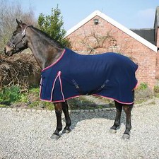 Wolseley Horse Equestrian