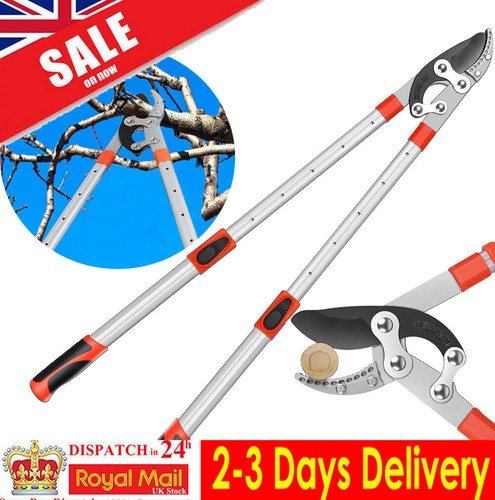 Garden pruning shear long - garden,