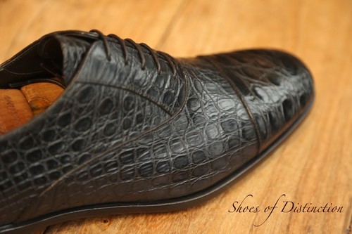 Prada dark navy - navy, crocodile