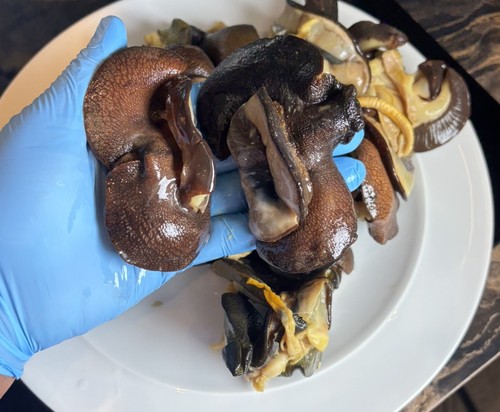 Large fresh frozen - fresh, snail