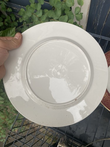 Pair midwinter vintage plates - pair,