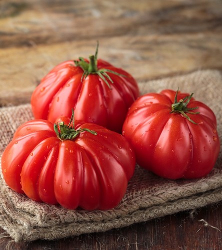 Beefsteak tomato seeds huge - beefsteak,