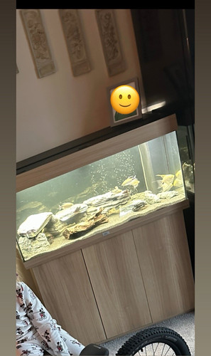 180l juwel fish - , tank