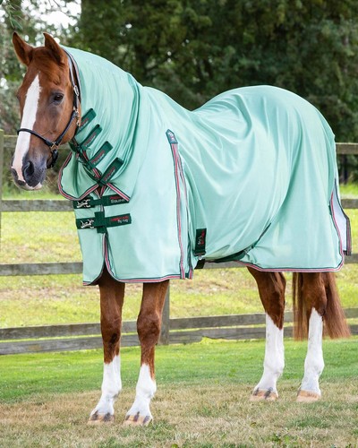 Premier equine combo - equine,