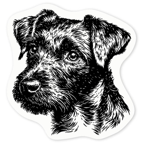 Patterdale terrier clear - 'patterdale,