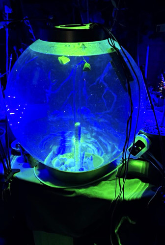 Premium 105l spherical orb - premium,
