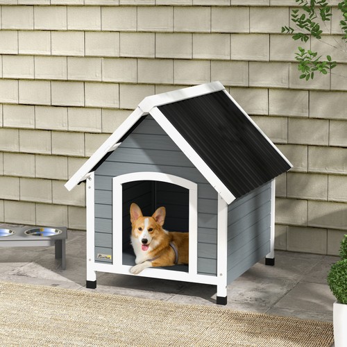 Dog kennel outdoor - kennel,