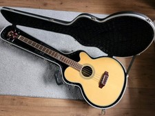 Washburn AB-34 Electro