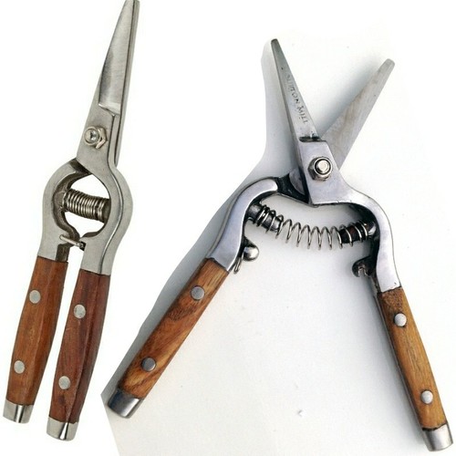 Traditional ash - traditional,