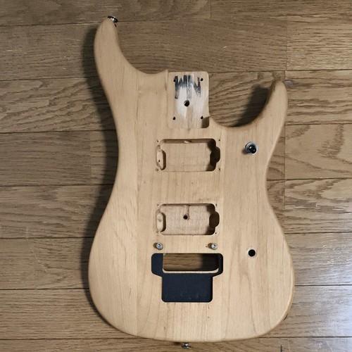 Washburn nuno bettencourt - n2,