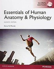 Essentials of Human Anatomy