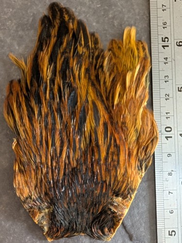Picric badger hen cape - cape, irish