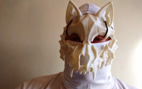 White wolf skull - skull, face