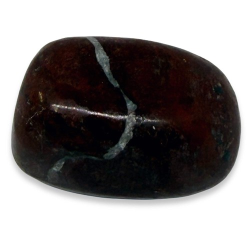 Bloodstone tumblestone natural - bloodstone,