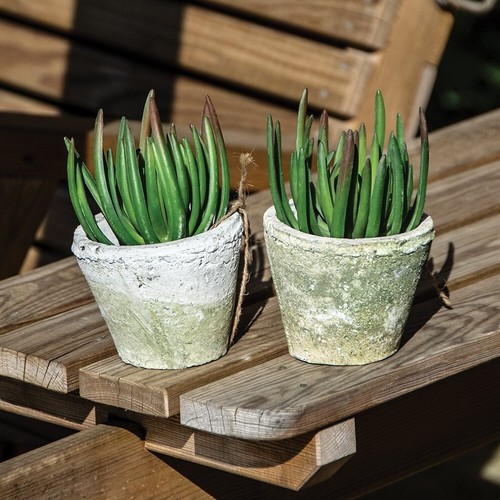 Whitestoned terracotta pots - terracotta,