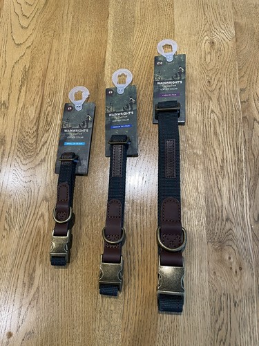 Wainwrights dog collar - wainwrights,