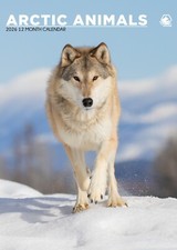 Arctic Animals 2026 A3