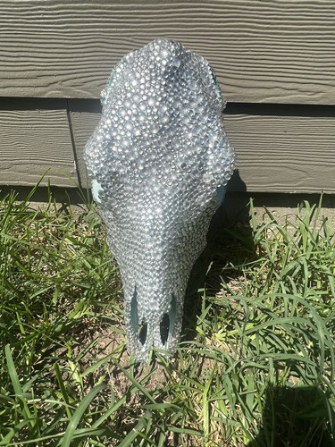 Bedazzled cow skull - bedazzled,