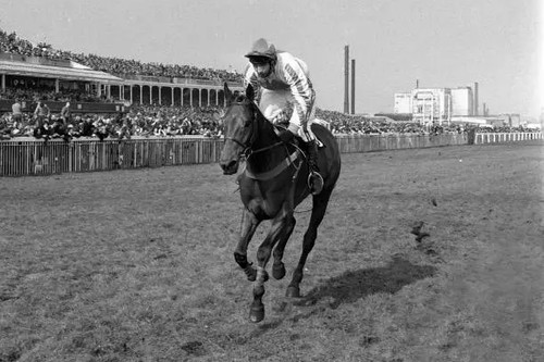Horse racing grand - racing,