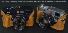 LUIGI TENDERLY CASE for