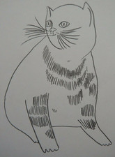 Cat Pencil drawing Warhol in