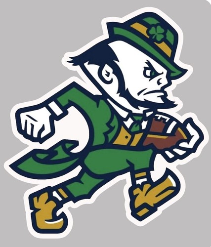 Notre dame fighting - dame,