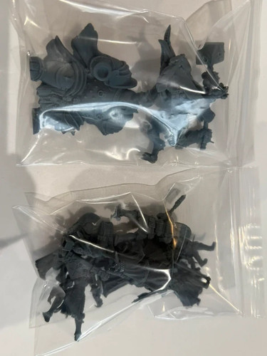 Heretic legion miniatures - heretic,