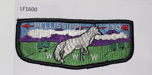 Boy scout lodge 230 - boy, oa