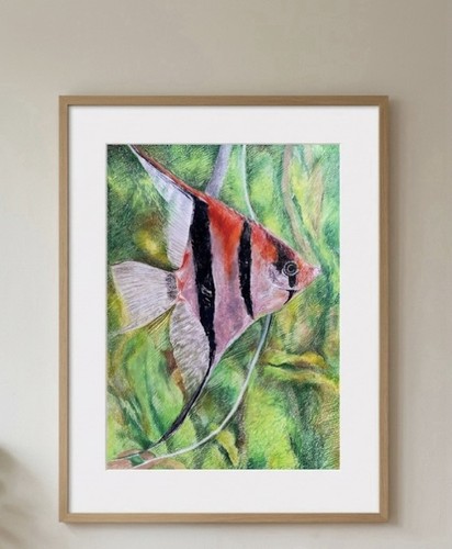 Original tropical angel fish - angel,
