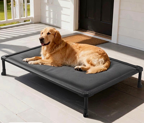 Elevated metal dog bed cot - dog,