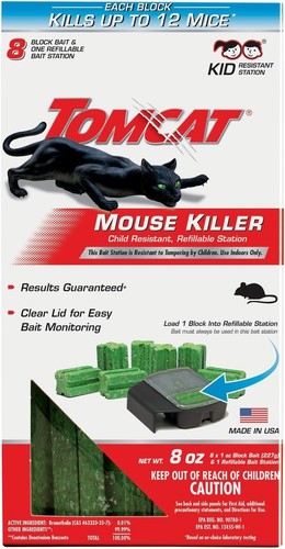 Tomcat mouse killer child - mouse,