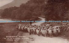 R294203 Homeward Bound Sheep Shepherd EAS No 2722 E A Schwerdtfeger 1911
