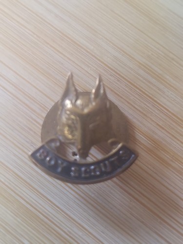 Scouting bronze coloured - uk,