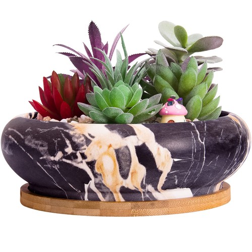 Large ceramic succulent pots - large,
